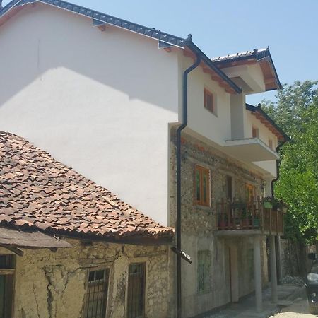 Aste Guesthouse Tropoje Exteriör bild