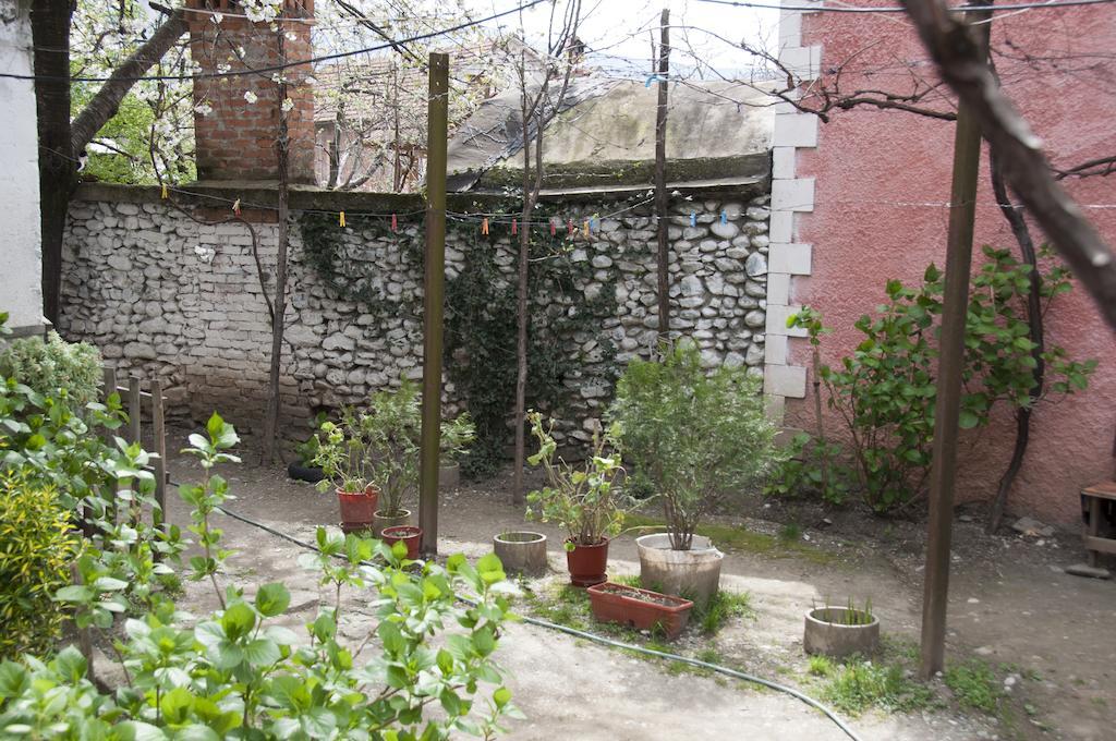 Aste Guesthouse Tropoje Exteriör bild